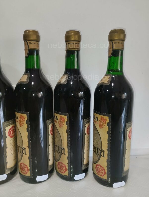 Gattinara Barra Guido & Figlio 1958 - Image 7
