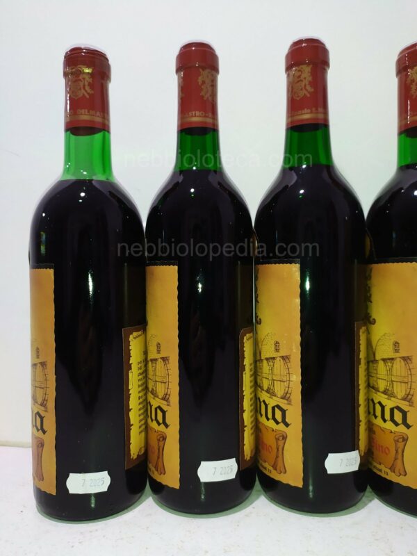 Spanna Riserva Delmastro Gino 1964 - Image 13