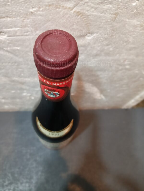 Barbera Marchesi di Barolo 1971 - Image 13