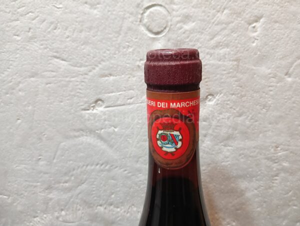 Barbera Marchesi di Barolo 1971 - Image 14