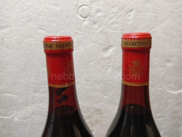 Barbera delle Langhe Marchesi di Barolo 1975 - Image 7