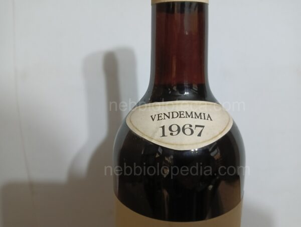 Barolo Alessandria Domenico & Figlio 1967 - Image 7