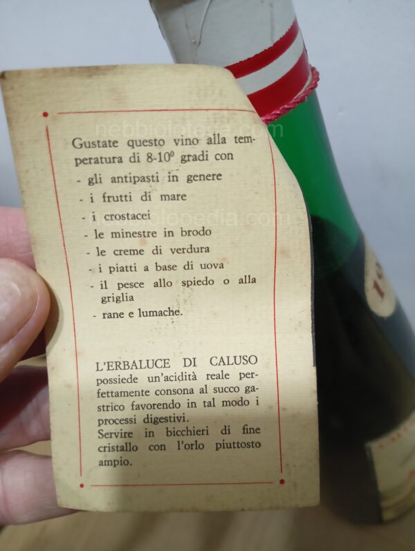 Erbaluce di Caluso Gnavi Corrado 1968 - Image 10
