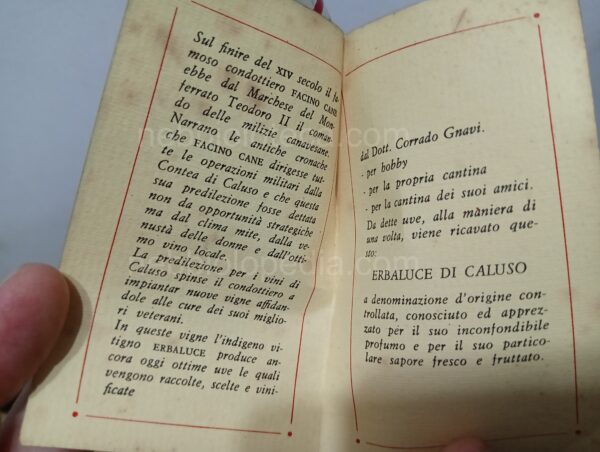 Erbaluce di Caluso Gnavi Corrado 1968 - Image 11