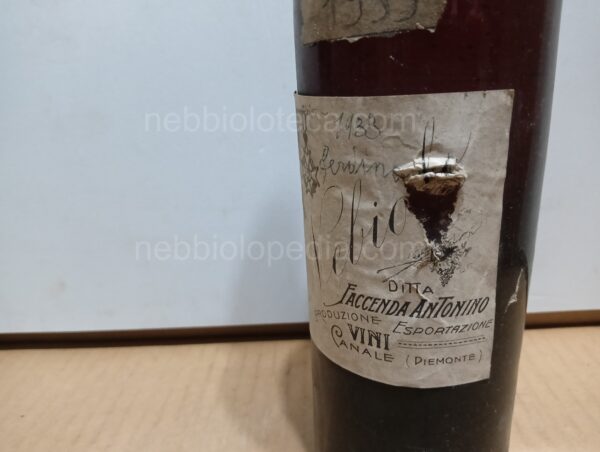 Nebbiolo Faccenda Antonino 1933 - Image 6