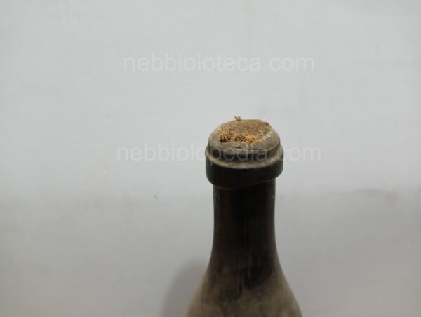Nebbiolo Costa 1939 - Image 3