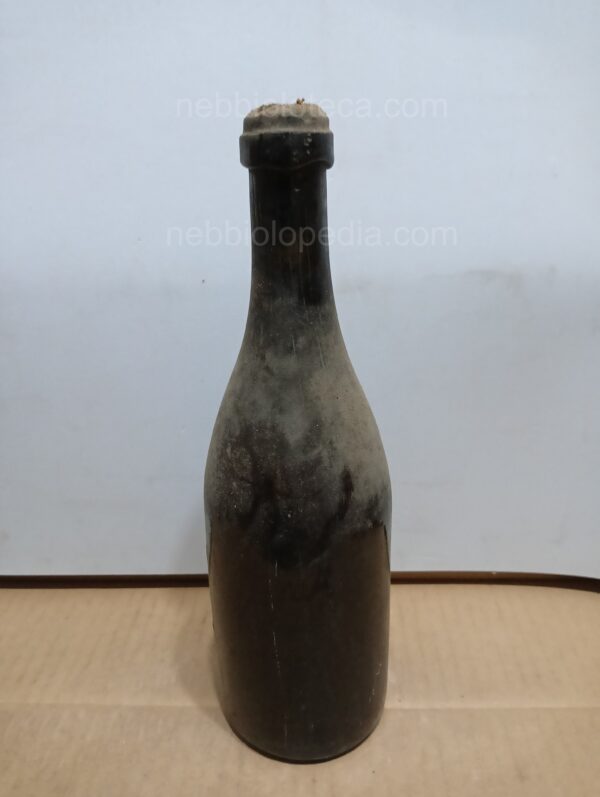 Nebbiolo Costa 1939 - Image 7