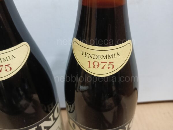 Barbaresco Bonino R. 1975 - Image 7