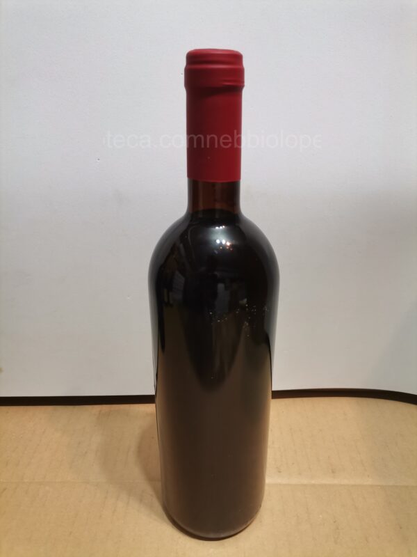 Langhe Nebbiolo Alario Claudio e Matteo 1991 - Image 6